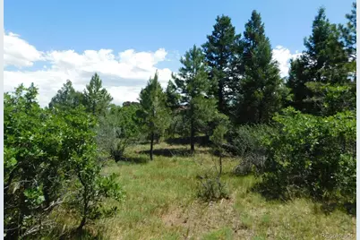 6447 Thunderbird Road, Larkspur, CO 80118 - Photo 1