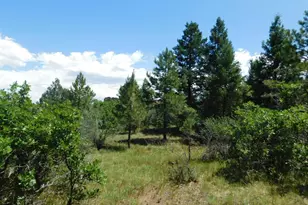 6447 Thunderbird Rd, Larkspur, CO 80118 - Photo 1
