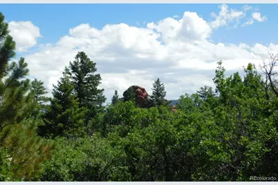 6447 Thunderbird Road, Larkspur, CO 80118 - Photo 15