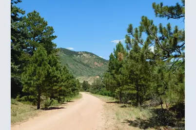 6447 Thunderbird Road, Larkspur, CO 80118 - Photo 9