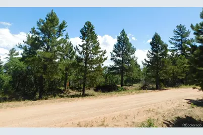 6447 Thunderbird Road, Larkspur, CO 80118 - Photo 11