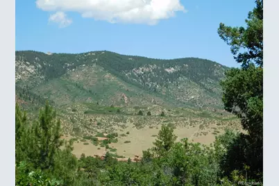 6447 Thunderbird Road, Larkspur, CO 80118 - Photo 23