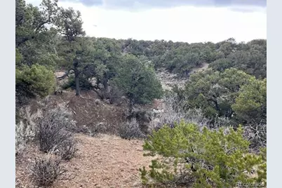 Lot 2087 Sandoval Road, Fort Garland, CO 81133 - Photo 9