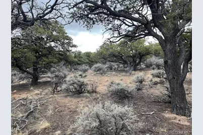 Lot 2087 Sandoval Road, Fort Garland, CO 81133 - Photo 11