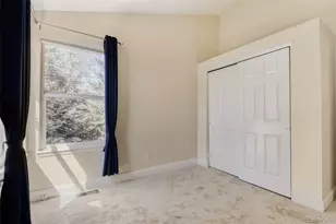 10047 Andrush Ct, Lone Tree, CO 80124 - Photo 29