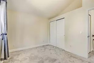 10047 Andrush Ct, Lone Tree, CO 80124 - Photo 27