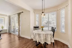 10047 Andrush Ct, Lone Tree, CO 80124 - Photo 15