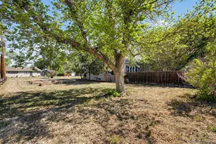 6790 W 48th Ave, Wheat Ridge, CO 80033 - Photo 29