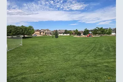 768 Treece Street, Louisville, CO 80027 - Photo 43