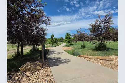 768 Treece Street, Louisville, CO 80027 - Photo 41