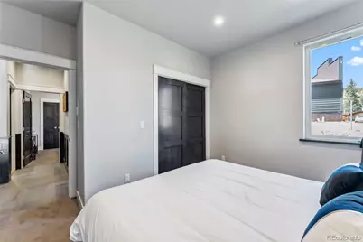 255 Flannigan Circle, Alma, CO 80420 - Photo 31