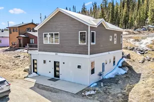 255 Flannigan Cir, Alma, CO 80420 - Photo 41