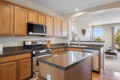 5321 Windflower Lane, Highlands Ranch, CO 80130 - Photo 9