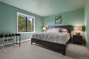31628 Gallery Ln, Evergreen, CO 80439 - Photo 31