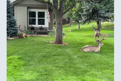 4 Red Cedar, Littleton, CO 80127 - Photo 49