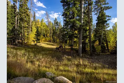 228 Glacier Ridge Road, Alma, CO 80420 - Photo 23