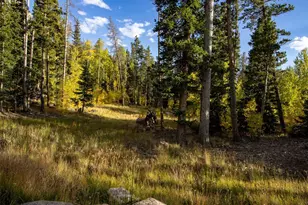 228 Glacier Ridge Rd, Alma, CO 80420 - Photo 23