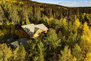 228 Glacier Ridge Rd, Alma, CO 80420 - Photo 43