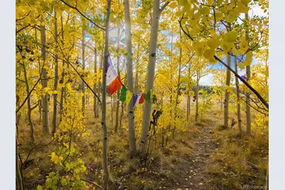 228 Glacier Ridge Road, Alma, CO 80420 - Photo 39