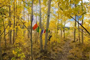 228 Glacier Ridge Rd, Alma, CO 80420 - Photo 39