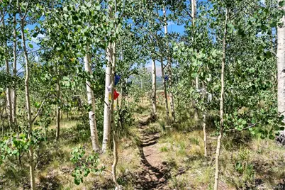 228 Glacier Ridge Road, Alma, CO 80420 - Photo 21