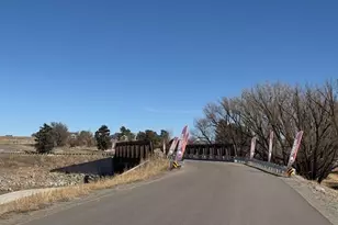 42973 Colonial Trl, Elizabeth, CO 80107 - Photo 25
