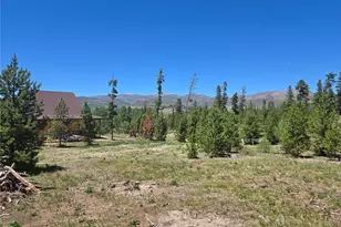 99 County Road 4035, Grand Lake, CO 80447 - Photo 7