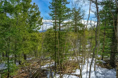 192 Deadwood Road, Cripple Creek, CO 80813 - Photo 9
