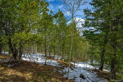 192 Deadwood Road, Cripple Creek, CO 80813 - Photo 7