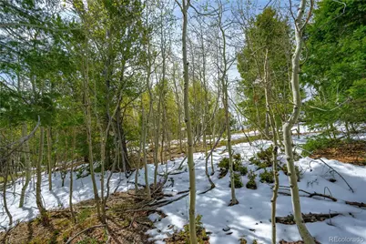 192 Deadwood Road, Cripple Creek, CO 80813 - Photo 3