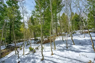 192 Deadwood Road, Cripple Creek, CO 80813 - Photo 1
