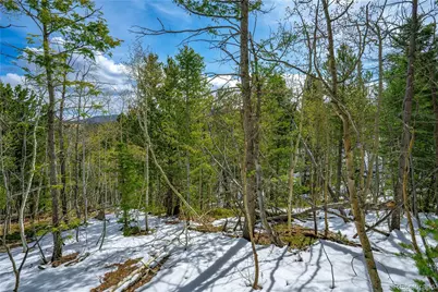 192 Deadwood Road, Cripple Creek, CO 80813 - Photo 21