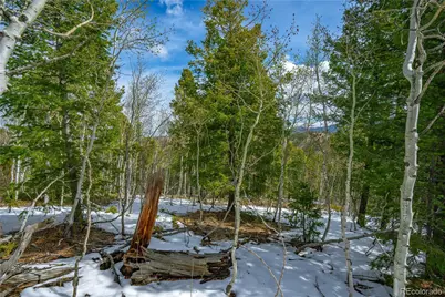 192 Deadwood Road, Cripple Creek, CO 80813 - Photo 5
