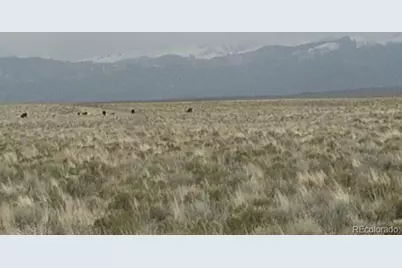 Dove Road, Blanca, CO 81123 - Photo 3