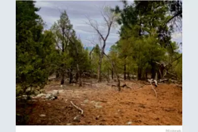 Pawnee Court, Mosca, CO 81146 - Photo 9