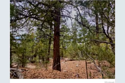 Pawnee Court, Mosca, CO 81146 - Photo 11