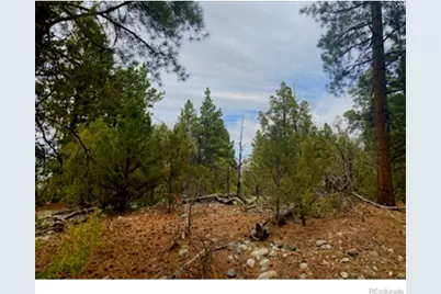 Pawnee Court, Mosca, CO 81146 - Photo 13