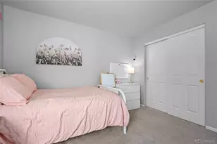 1002 Halfmoon Dr, Castle Rock, CO 80104 - Photo 29