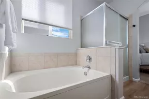 1002 Halfmoon Dr, Castle Rock, CO 80104 - Photo 19