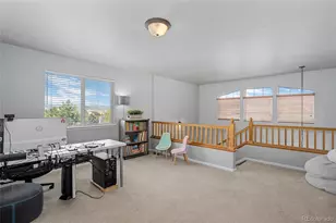 1002 Halfmoon Dr, Castle Rock, CO 80104 - Photo 23