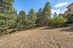 7928 Red Hill Rd, Larkspur, CO 80118 - Photo 45