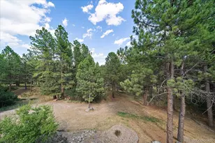 7928 Red Hill Rd, Larkspur, CO 80118 - Photo 43
