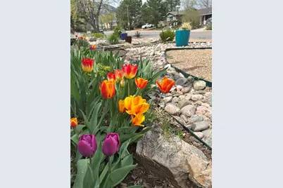 3210 Darley Avenue, Boulder, CO 80305 - Photo 35