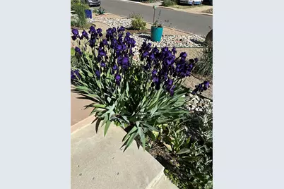 3210 Darley Avenue, Boulder, CO 80305 - Photo 37