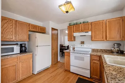 10102 Telluride Street, Littleton, CO 80125 - Photo 11