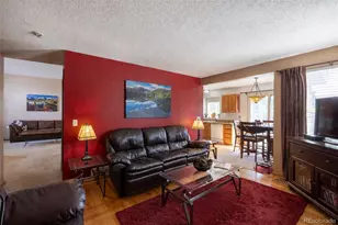 10102 Telluride St, Littleton, CO 80125 - Photo 17