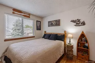 10102 Telluride St, Littleton, CO 80125 - Photo 29