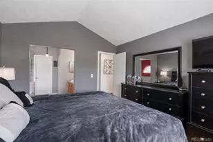 10102 Telluride St, Littleton, CO 80125 - Photo 21