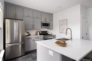 1729 N Marion Street, Denver, CO 80218 - Photo 13