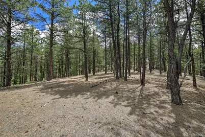 293 Badger Trail, Florissant, CO 80816 - Photo 7